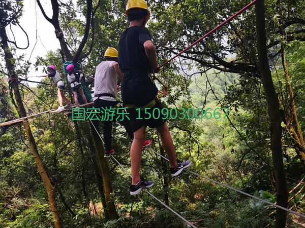 丛林穿越