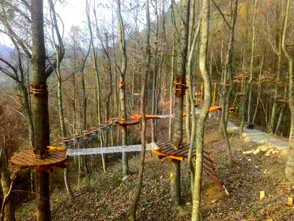 东北家园丛林穿越